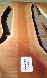 f8295dd5.jpg