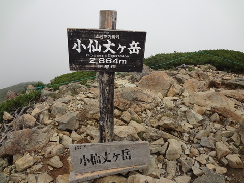 DSC04154