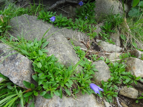 DSC04179