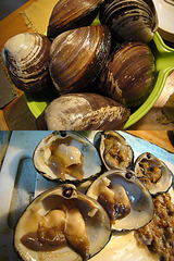 20120319_01