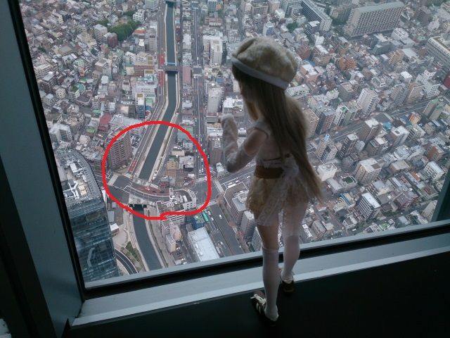 赤丸DSC_0041