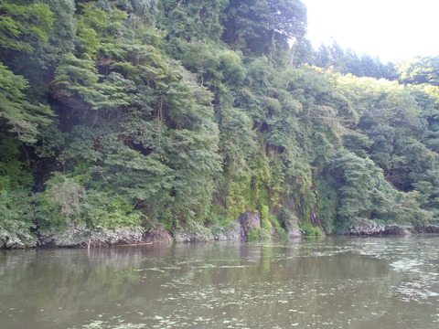 20150922kameyama (13)