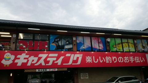 flipgill20150627 (1)