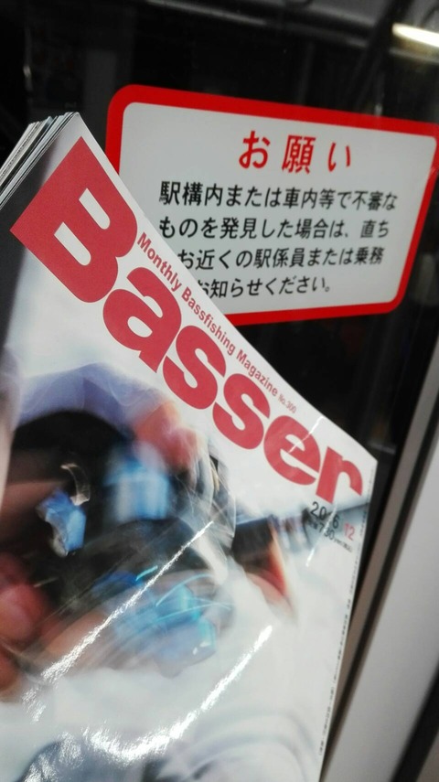 basseryokoisan (1)