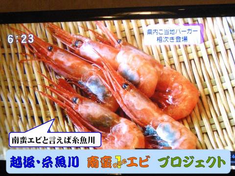 TV Teny -01
