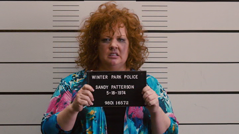 IDENTITY THIEF4