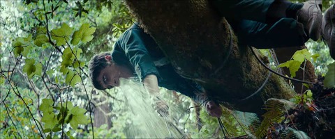 Swiss Army Man 2016