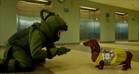 Wiener-Dog012