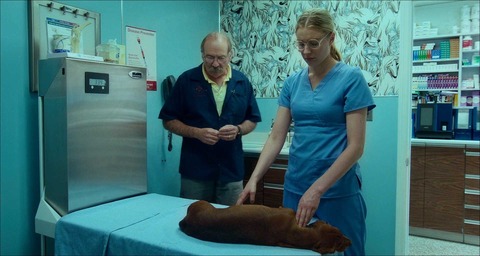 Wiener-Dog004