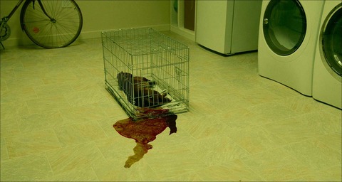 Wiener-Dog003