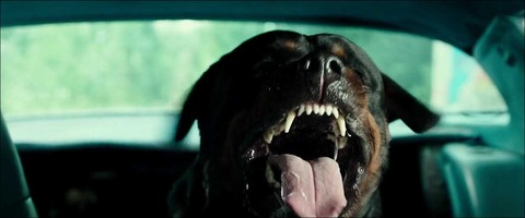 DontBreathe14