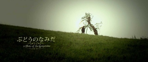 Budou no Namida