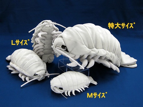 daiougusokumusi