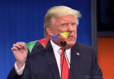 Donald-Trump-flag-12