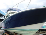 CIMG5146