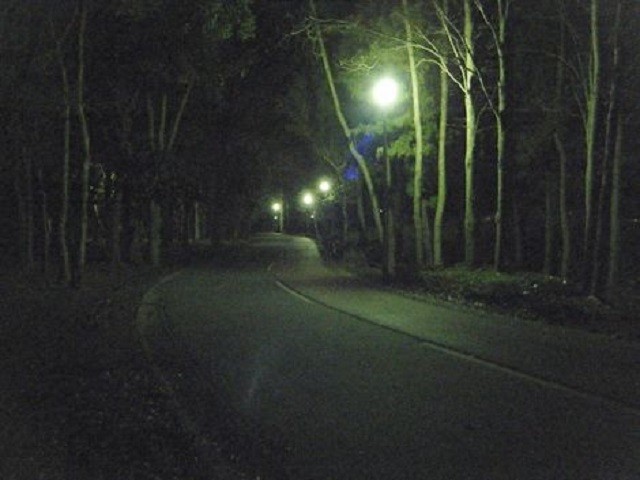 dscf0784_2