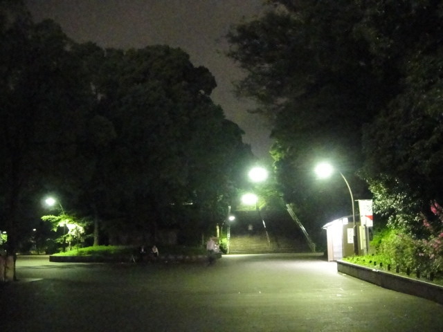 dsc00413