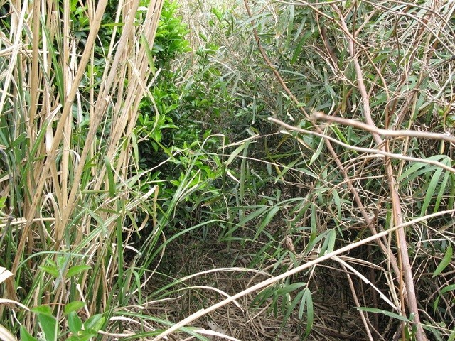 photo_3