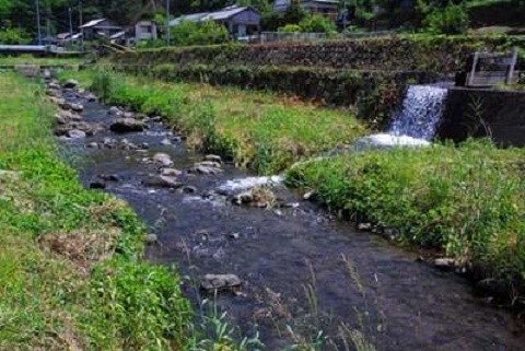 L3445040002442946