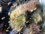 a885f660.jpg