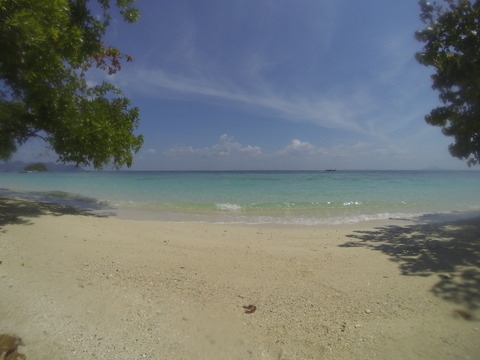 G0116291