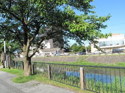 IMG_7059-resize
