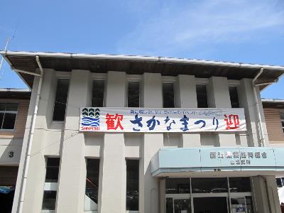 IMG_6479-resize