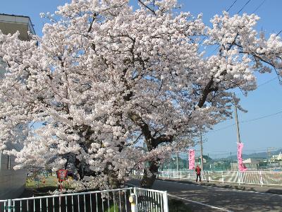IMG_6288-resize