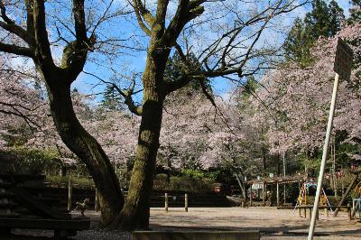 IMG_7170-resize