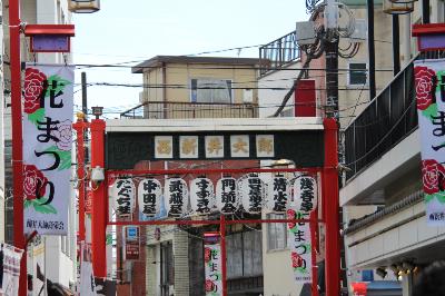 IMG_7473-resize