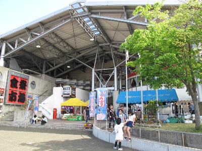 IMG_6624-resize