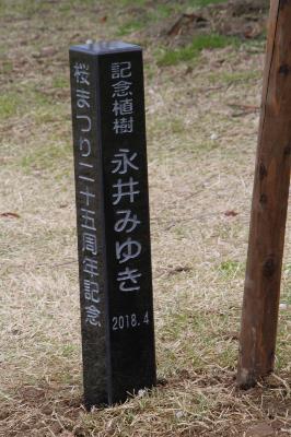 IMG_9065-resize