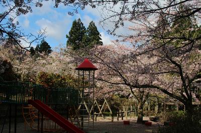 IMG_7171-resize