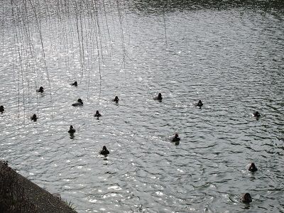 026-1