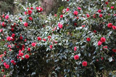 IMG_7190-resize