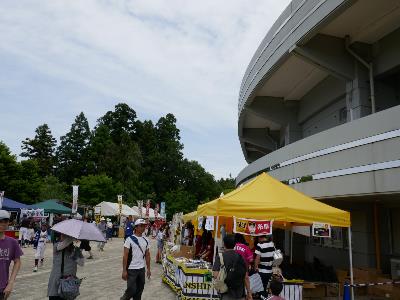 P1010890-resize