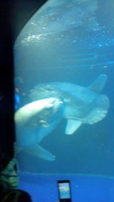 20111218134034