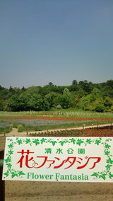 清水公園
