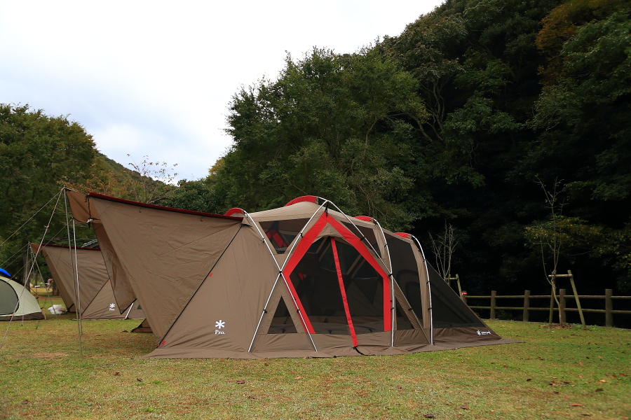 DPP_20145