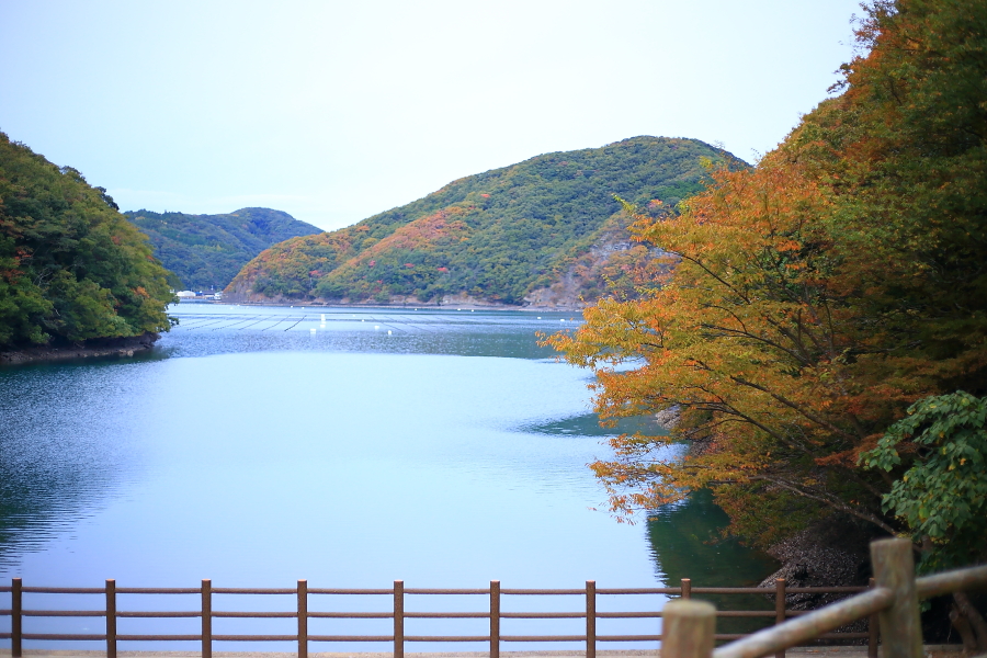 DPP_20103
