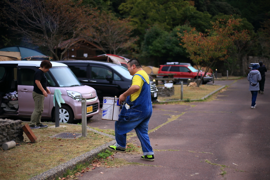 DPP_20101