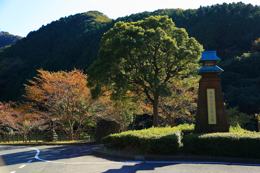 DPP_20025
