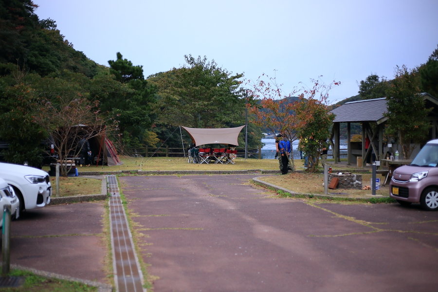 DPP_20099