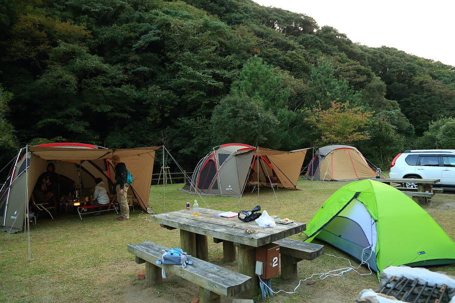 DPP_20047
