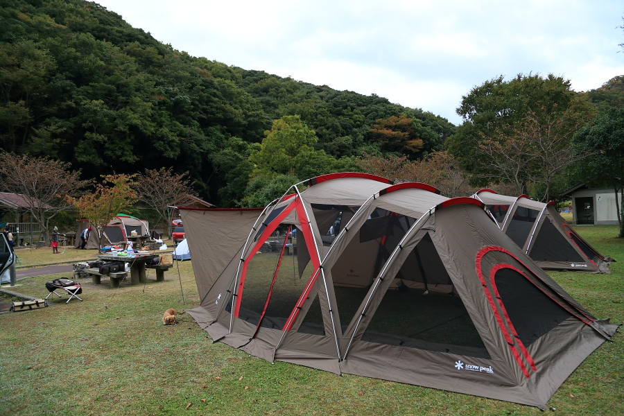 DPP_20147