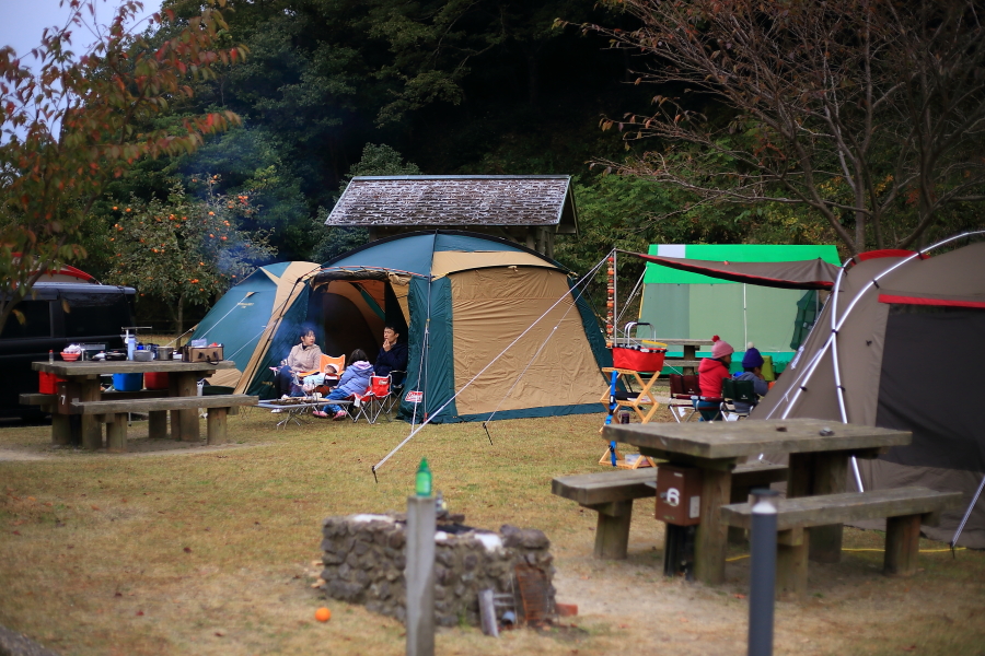 DPP_20100