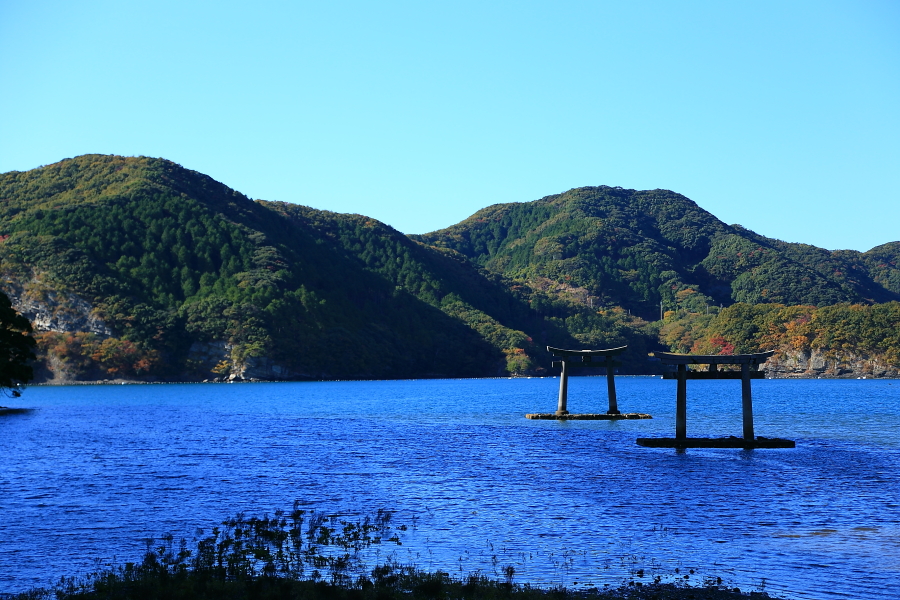 DPP_20024