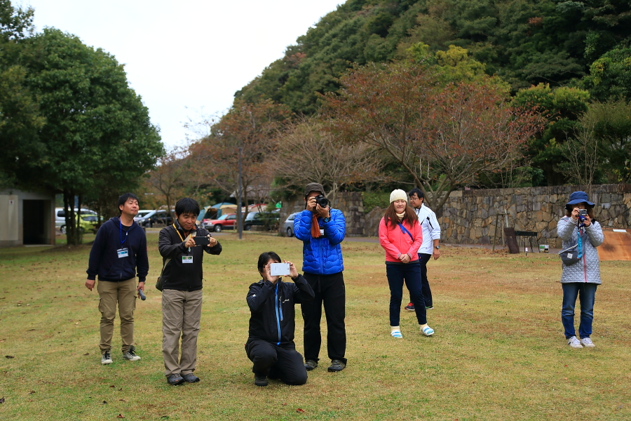DPP_20136