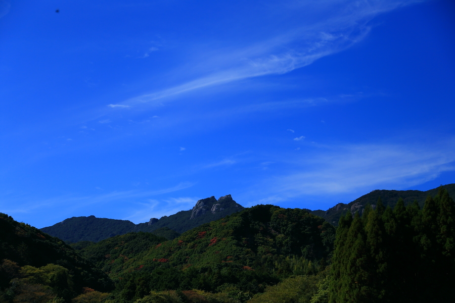 DPP_20023