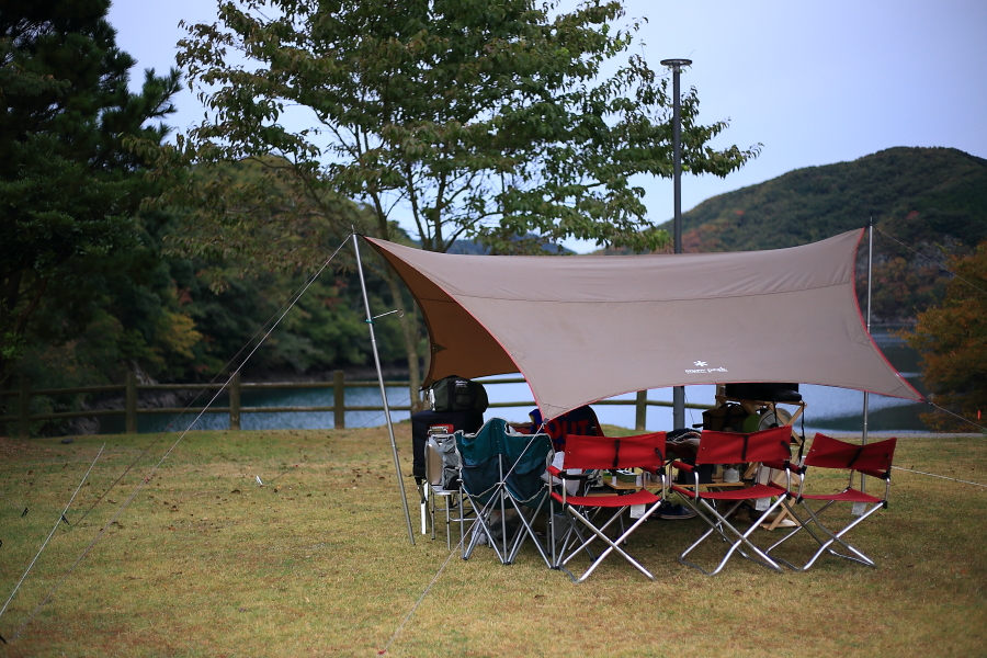 DPP_20102